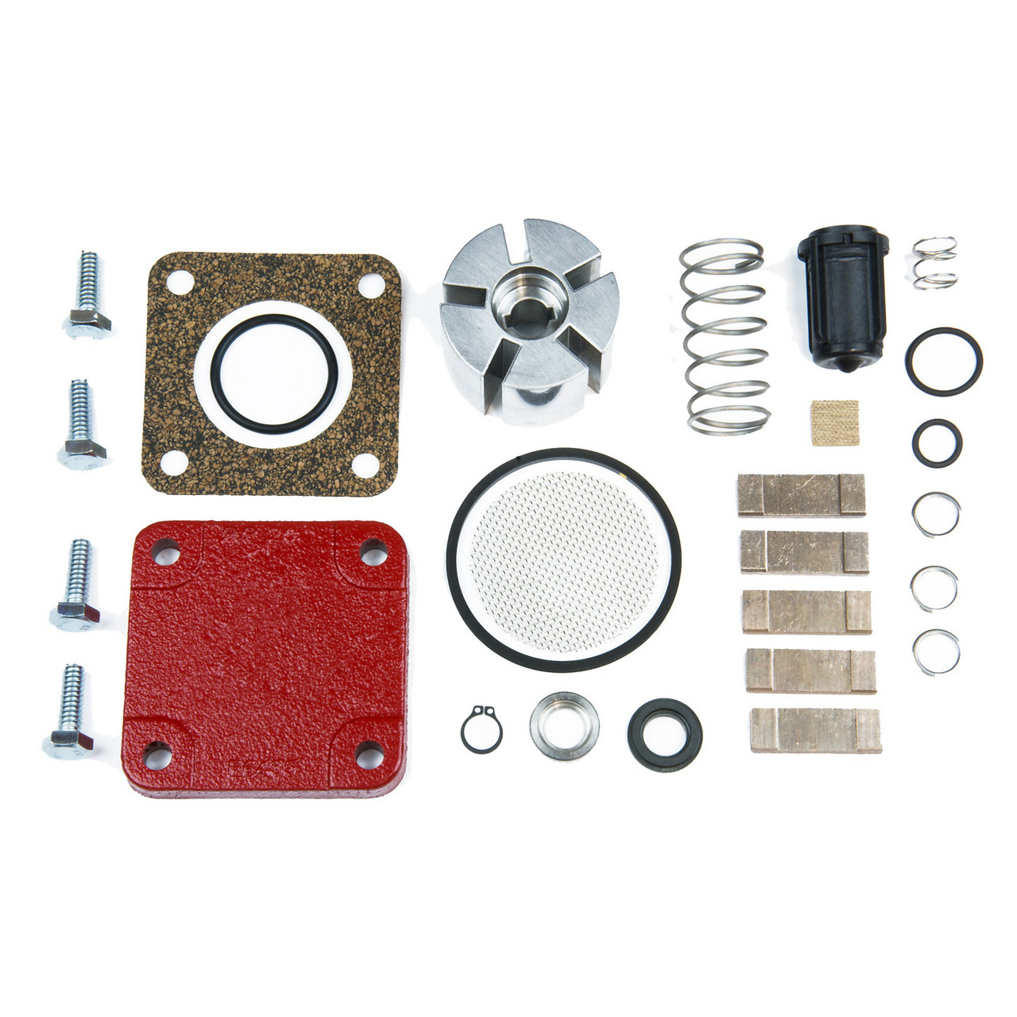 Fill-Rite Rebuild Kit for Small Pumps, Model# 4200KTF8739